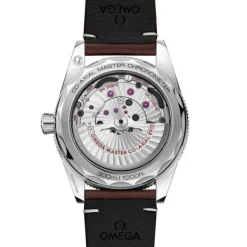 Omega Seamaster 300 Co-Axial Master Chronometer 234.32.41.21.01.001