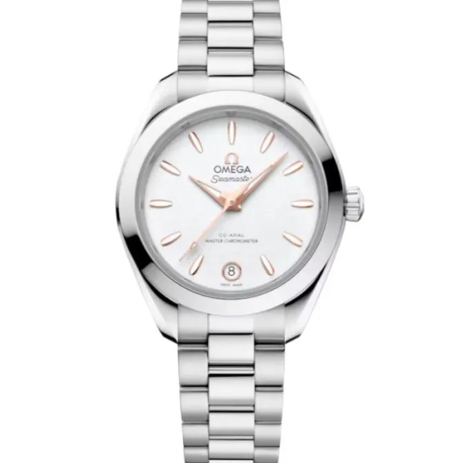 OMEGA Seamaster Aqua Terra 150M Plata 30mm