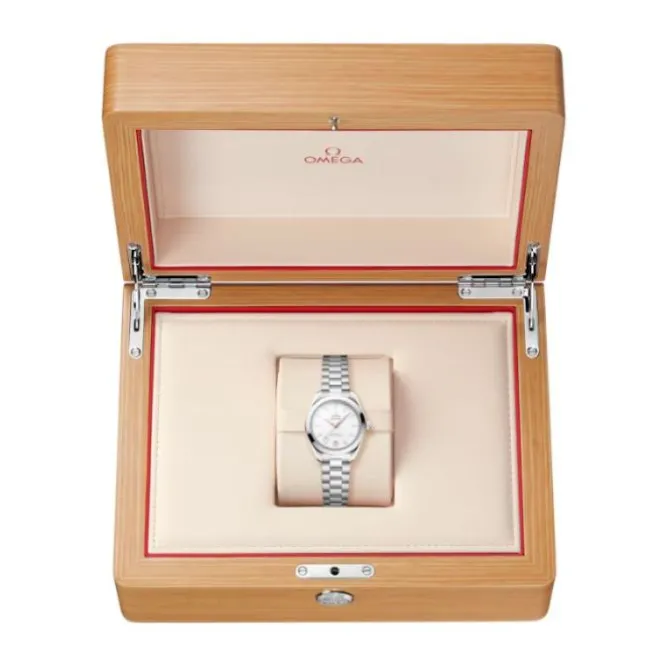 OMEGA Seamaster Aqua Terra 150M Plata 30mm