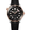Omega Seamaster Diver 300M Co-Axial Master Cronometro 42mm 210.22.42.20.01.002