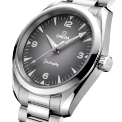 OMEGA Seamaster Railmaster Co-Axial Gris 38mm