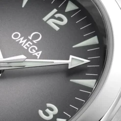 OMEGA Seamaster Railmaster Co-Axial Gris 38mm