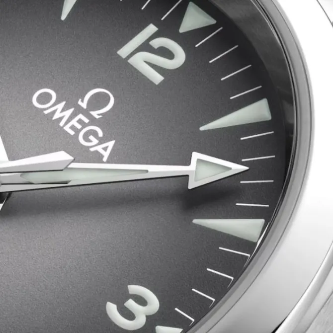 OMEGA Seamaster Railmaster Co-Axial Gris 38mm