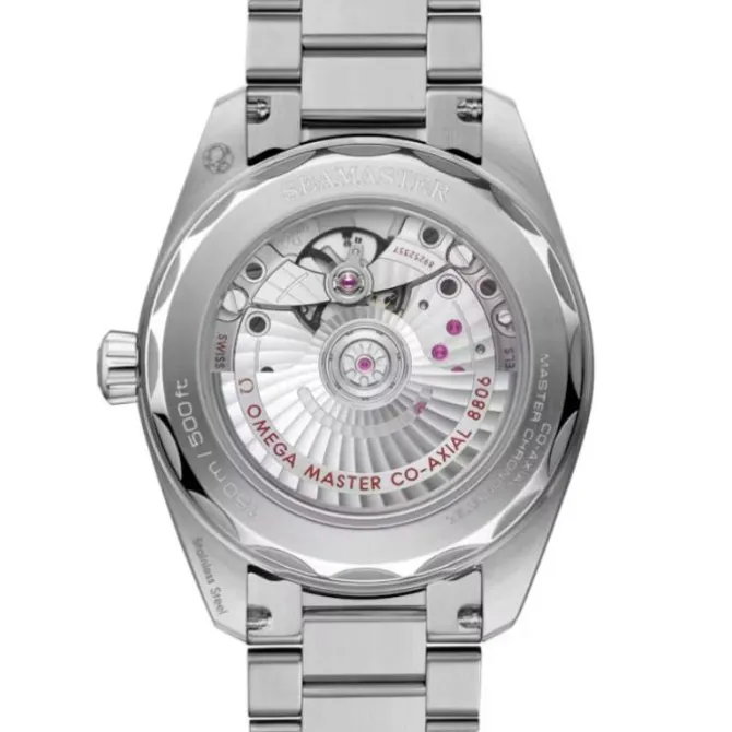 OMEGA Seamaster Railmaster Co-Axial Gris 38mm