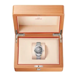 OMEGA Seamaster Railmaster Co-Axial Gris 38mm