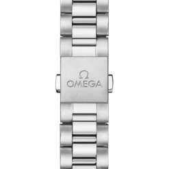 OMEGA Seamaster Railmaster Co-Axial Small Seconds 38mm