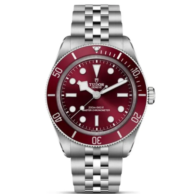 TUDOR Black Bay 58 Burdeos 5 Eslabones 39mm