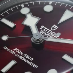 TUDOR Black Bay 58 Burdeos 5 Eslabones 39mm