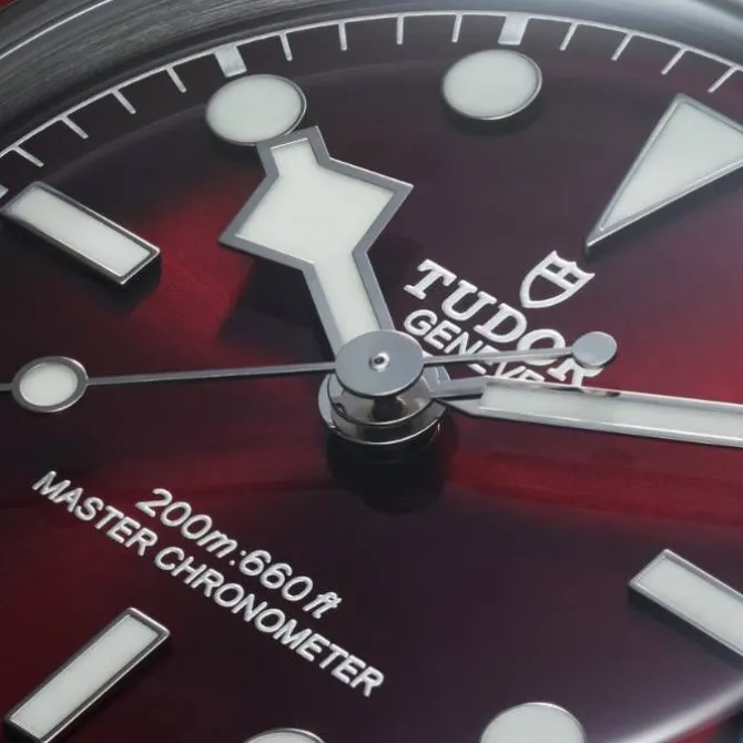 TUDOR Black Bay 58 Burdeos 5 Eslabones 39mm