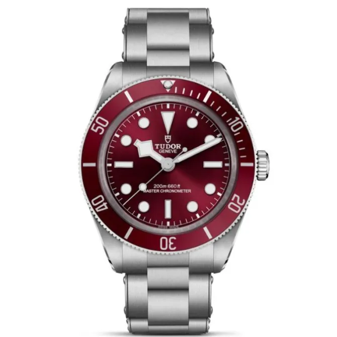 TUDOR Black Bay 58 Burdeos 3 Eslabones 39mm