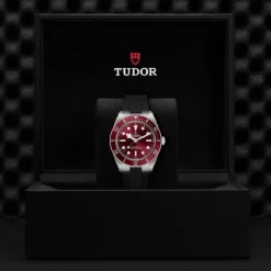 TUDOR Black Bay 58 Burdeos Caucho 39mm