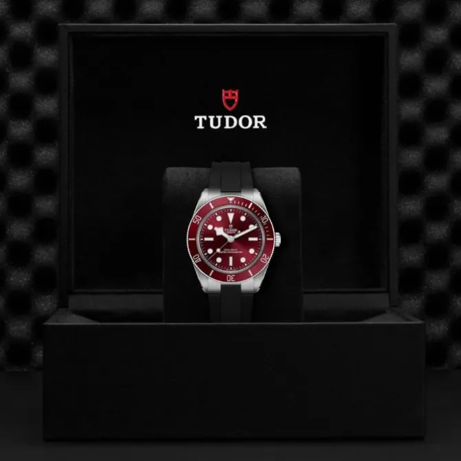 TUDOR Black Bay 58 Burdeos Caucho 39mm