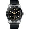 TUDOR Black Bay 54 M79000N-0002