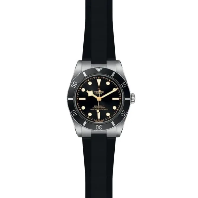 TUDOR Black Bay 54 M79000N-0002