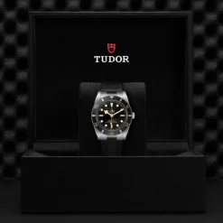 TUDOR Black Bay 54 M79000N-0002