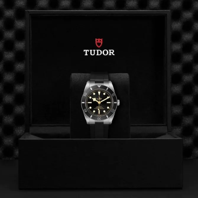 TUDOR Black Bay 54 M79000N-0002