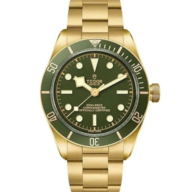 TUDOR Black Bay 58 Oro Amarillo 18K