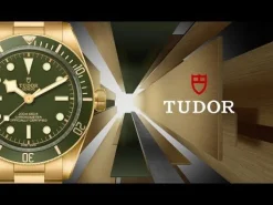 TUDOR Black Bay 58 Oro Amarillo 18K