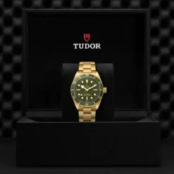 TUDOR Black Bay 58 Oro Amarillo 18K