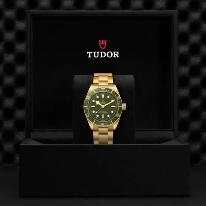 TUDOR Black Bay 58 Oro Amarillo 18K