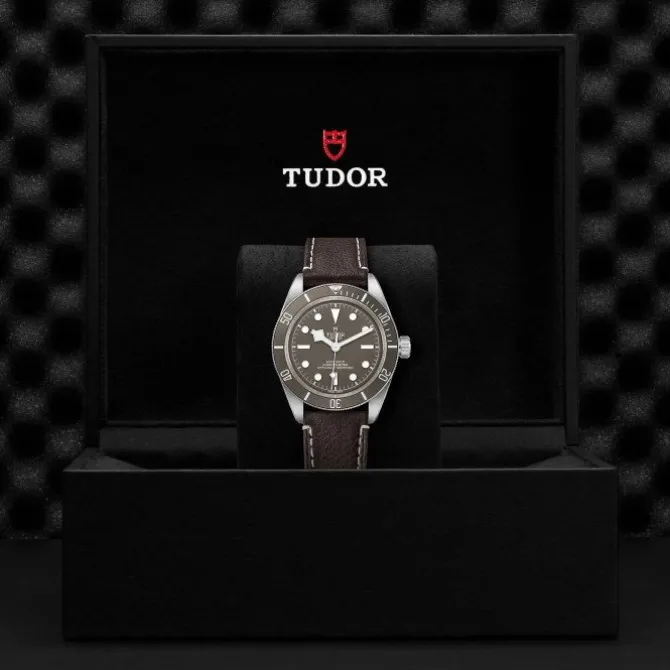 TUDOR Black Bay Fifty-Eight Plata 925 39 mm M79010SG-0001