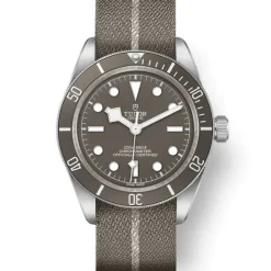 TUDOR Black Bay Fifty-Eight Plata 925 39 mm M79010SG-0002