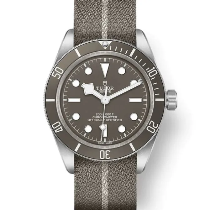 TUDOR Black Bay Fifty-Eight Plata 925 39 mm M79010SG-0002