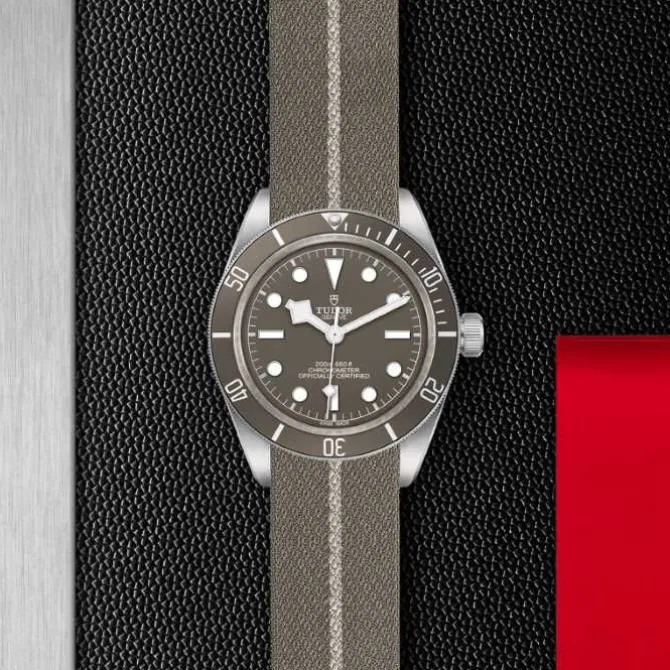 TUDOR Black Bay Fifty-Eight Plata 925 39 mm M79010SG-0002