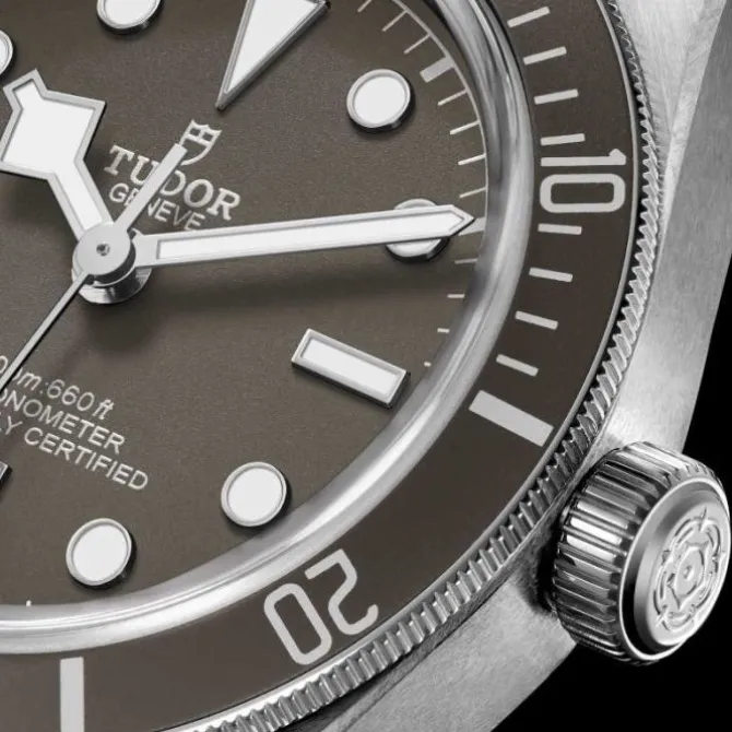 TUDOR Black Bay Fifty-Eight Plata 925 39 mm M79010SG-0002