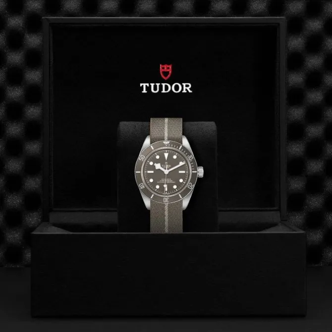 TUDOR Black Bay Fifty-Eight Plata 925 39 mm M79010SG-0002