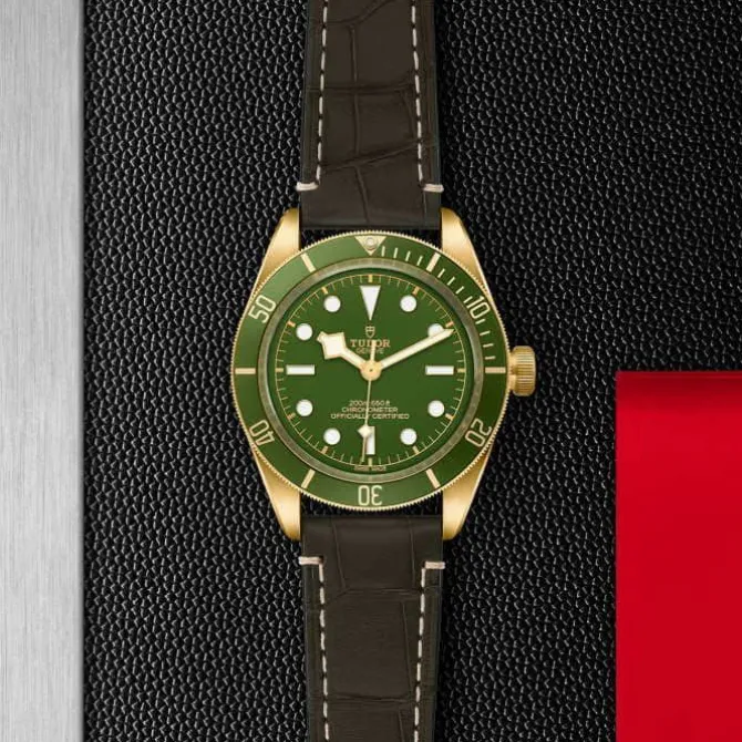 TUDOR Black Bay Fifty-Eight 18K Oro Amarillo 39 mm M79018V-0001