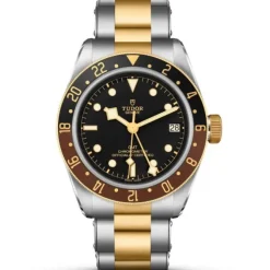 TUDOR Black Bay GMT S&G 41 mm M79833MN-0001