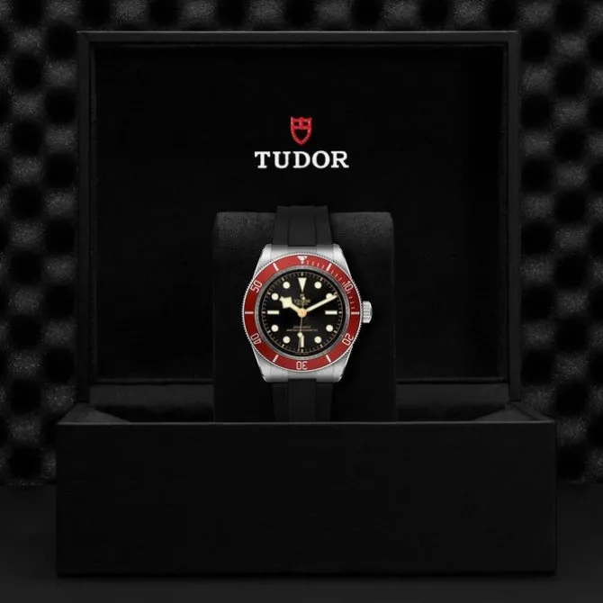 TUDOR Black Bay 41mm M7941A1A0RU-0002