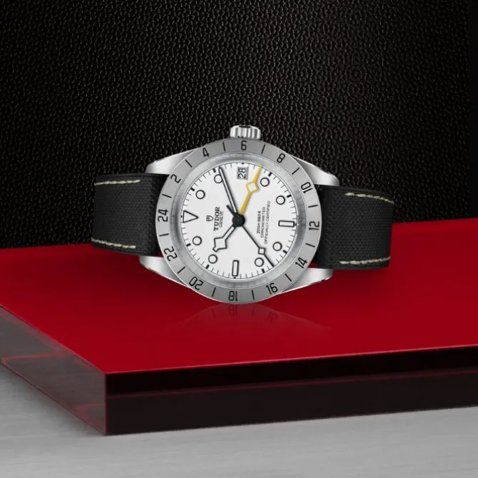 TUDOR Black Bay Pro Blanco Caucho 39mm