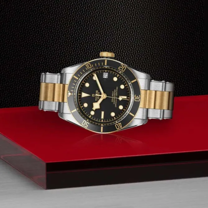 TUDOR Black Bay S&G 41mm M79733N-0008