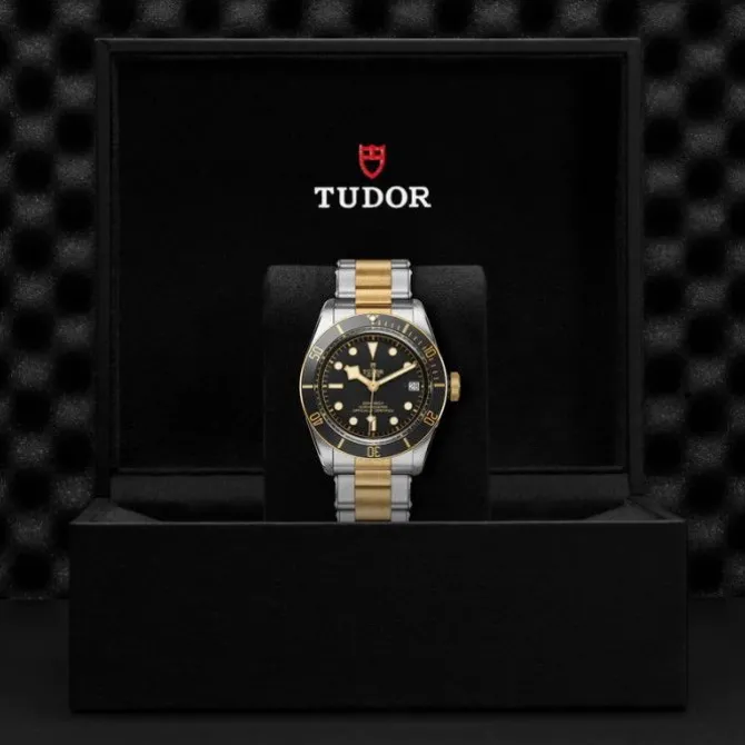 TUDOR Black Bay S&G 41mm M79733N-0008