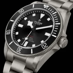 TUDOR Pelagos 39 mm Titanio