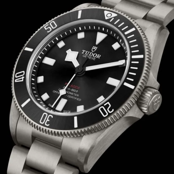 TUDOR Pelagos 39 mm Titanio