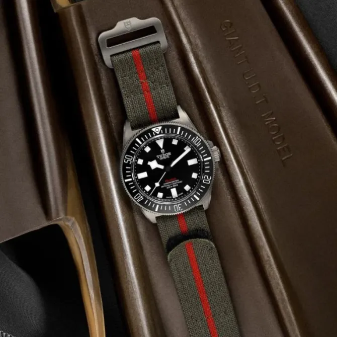 TUDOR Pelagos FXD Titanio 42 mm